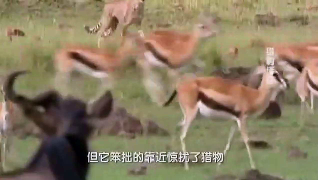 나주콜걸 ㅣㅣ ☎O1OE2194E5939 {카톡RMB7} 나주출장안마 나주출장샵 나주출장마사지 ▒ 나주출장오피 ▒ 나주출장홈타이 ▒ 나주출장아로마