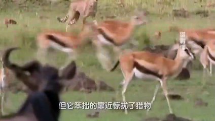 나주콜걸 ㅣㅣ ☎O1OE2194E5939 {카톡RMB7} 나주출장안마 나주출장샵 나주출장마사지 ▒ 나주출장오피 ▒ 나주출장홈타이 ▒ 나주출장아로마