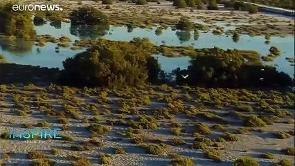 Razan Al Mubarak : "Nous devons investir dans le plus grand musée qui soit, la nature"