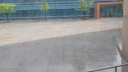 서울·수원 등 수도권 곳곳에 우박 / YTN