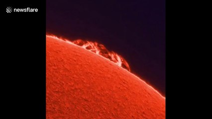 Ever wonder what a solar prominence the sun's surface looks like?