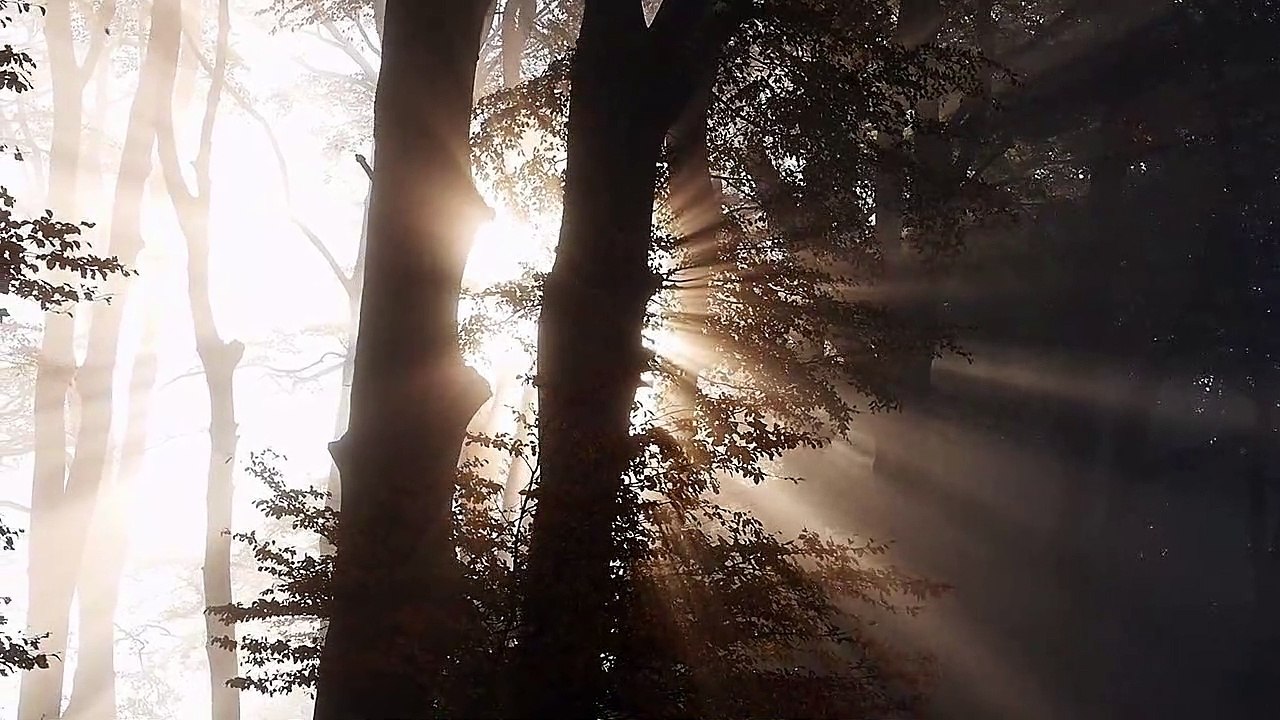 Relaxing music Natural sound combined with peaceful guitar sound help you to be relaxed in quarantine.