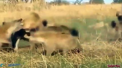 O1OE9914E7203 {카톡DDD22} 울진출장안마☎울진출장안마∩24시환영▨울진출장안마●울진출장안마 울진출장풀코스후기 ♥⊐≪