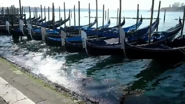 Venecia, una ciudad vacía y silenciosa que florece en una primavera de confinamiento
