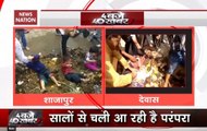 Following Rituals On Govardhan Puja, Children Lie Down On Cow Dung
