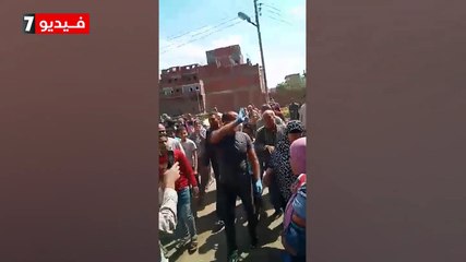 شعبة دواجن الجيزة: استقرار أسعار البيض قبل عيد شم النسيم