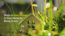 Ways To Save Money In Your Home By Being Green