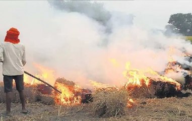 Air Quality In Delhi Likely To Deteriorate Further: Here’s Reason