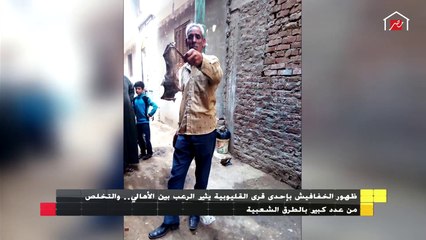 ظهور الخفافيش بإحدي قري القليوبية يثير الرعب .. والتخلص من عدد كبير بالطرق الشعبية