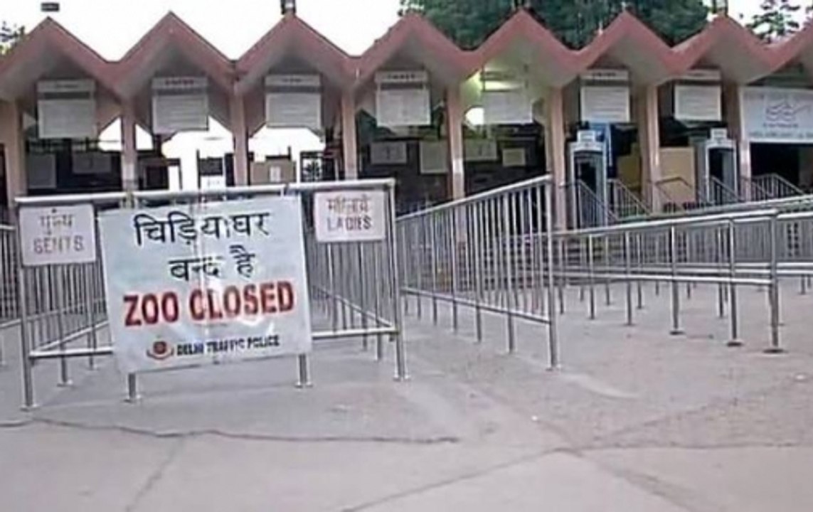 Patna: Zoo closed indefinitely after death of six peacocks by bird flu