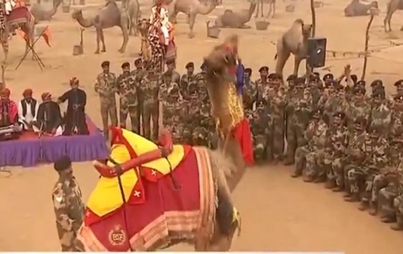 Jai Jawan: Camel dances on tunes played by BSF Jawans