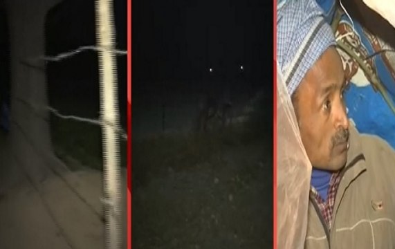 Uttar Pradesh: Stray cattle create trouble for farmers in Barabanki