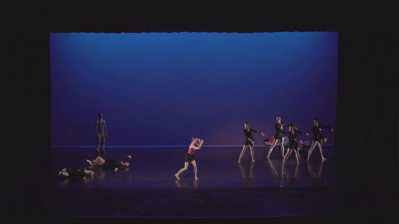 PURPLE TRIANGLE PURPLE DAGGER - KATY HAGELIN DANCE PROJECT