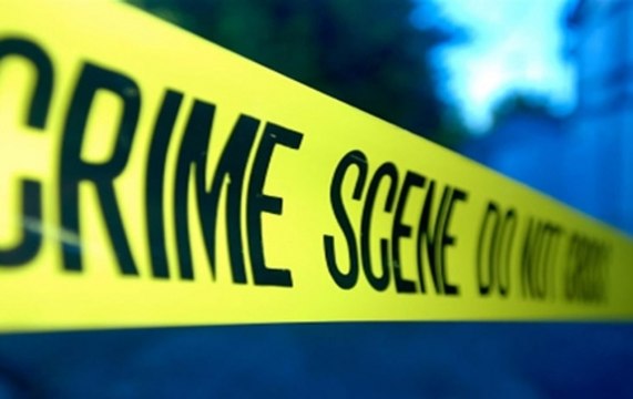 Extortion racket operating from Delhi jail, 40 mobiles recovered