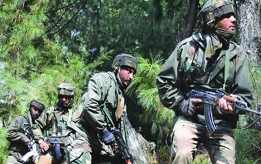 Indian, Myanmar forces destroy dozen insurgent camps along border