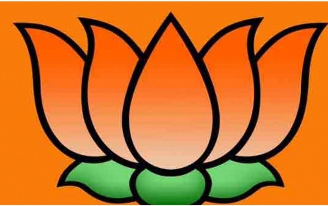 Lok Sabha Polls Result: Initial trends show NDA leading on 22 seats