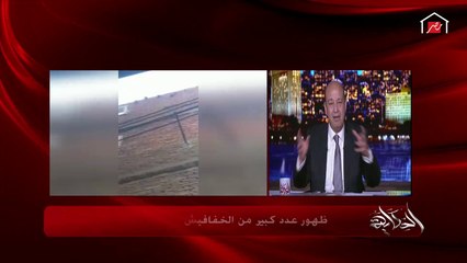 شاهد عيان على واقعة الخفافيش بالقليوبية يحكي تفاصيل جديدة وظهور أعداد منها بشكل مفاجئ.. وسر إشعال الشطة