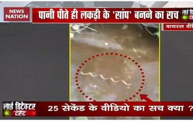 Fact Check: Spiral piece of wood becomes snake as it touches water?