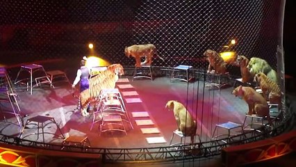 10 Most Dangerous Jobs in the World