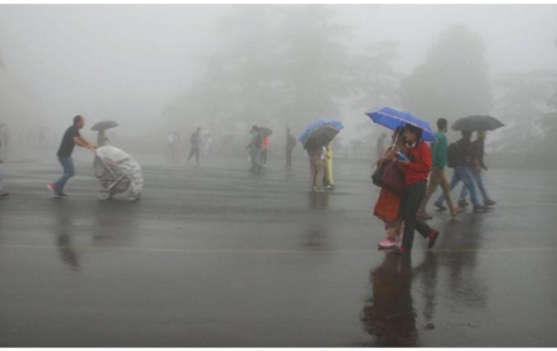 Top 25: Delhi's weather turns pleasant after city receives showers