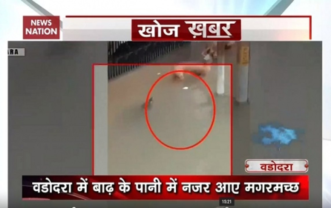 Khoj Khabar: Crocodiles enter residential areas in flood-hit Vadodara