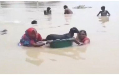 Monsoon: Flood takes its toll on people and animals