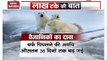 Big News: How global warming threatens existence of polar bears