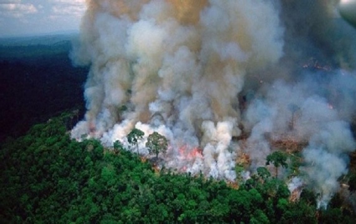 G7 leaders agree to help Amazon countries fight wildfires