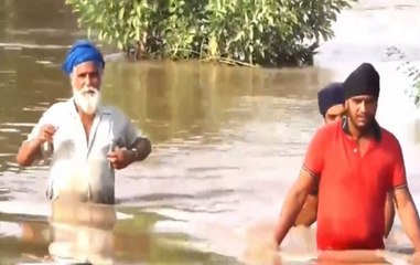 Punjab floods: Waterlogging causes trouble, normal life disrupted
