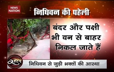 Rahasya: Do Krishna, Radha come at Mathura’s Nidhivan every night?