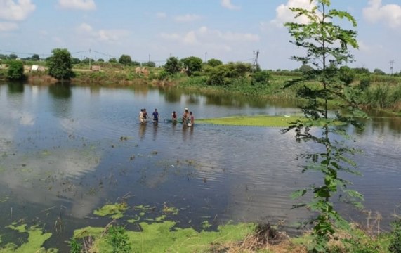 Mission Jal Shakti: Authority to revive 100 lakes in Noida