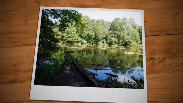 Photo Tour of Percy Quin State Park in McComb, Mississippi