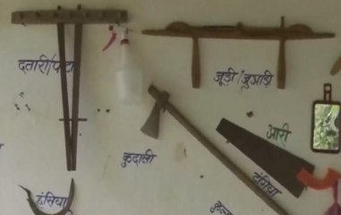 Chhattisgarh: Teachers Turn School Into Botanical Garden In Pendra