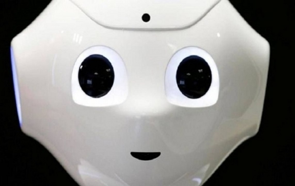 Ministry Of Defence To Procure Robots For Indian Army In Kashmir