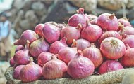 Govt’s Onion Stalls Drawing Long Queues In Patna: Ground Report