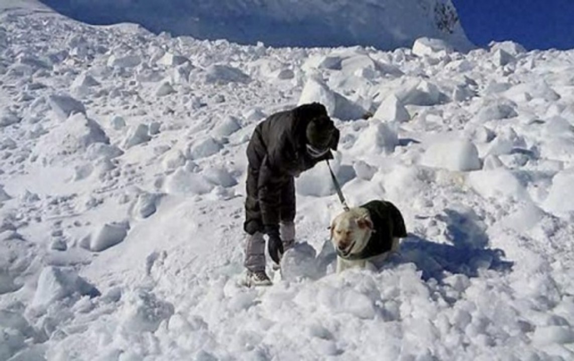 Four Indian Army Soldiers Killed In Avalanche In Siachen Glacier