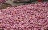 Onion Prices Cross Rs 100 Per Kg in Delhi, Lucknow: Ground Report