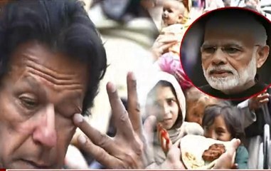 India In Grip Of Extremist Ideology, Says Pakistan PM Imran Khan