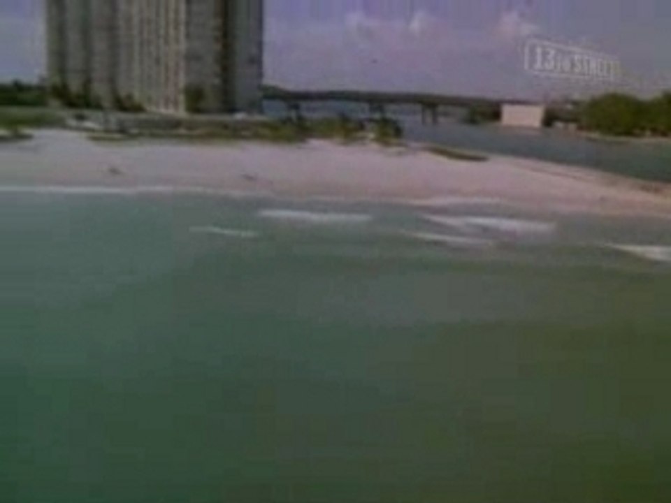 Deux Flics a Miami Generique