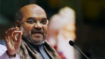 Arvind Kejriwal Puts His Stamp On Others Work: Amit Shah In Delh