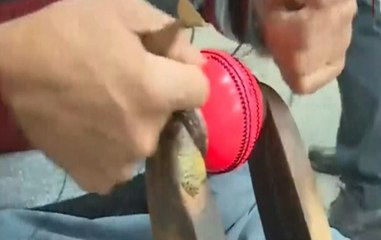 India Vs Bangladesh Kolkata Test: Know About Pink Ball, Its Features