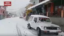 Weather Update: Cold Waves Intensify In Himachal Pradesh