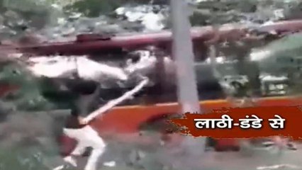 Jamia Protest: Viral Video Shows Public Properties Being Targeted