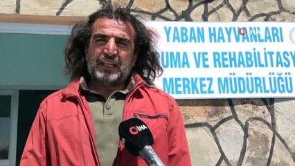 Profesörden ‘hayvanlarla sosyal mesafeye dikkat’ uyarısı