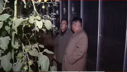 Is North Korean Dictator Kim Jong Un Taking Interest In Agriculture?