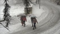 Heavy Snowfall Affects Normal Life In Himachal Pradesh: Ground Report