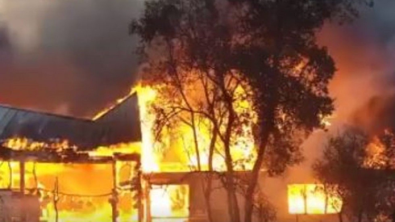 Thousands Of Koalas Burn To Death As Australia Fears Native Wildlife