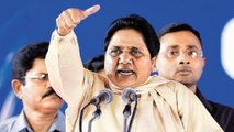 Delhi Polls: BSP Chief Mayawati Addresses Rally At Talkatora
