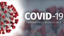Coronavirus began months earlier and not in Wuhan, bombshell UK report claims