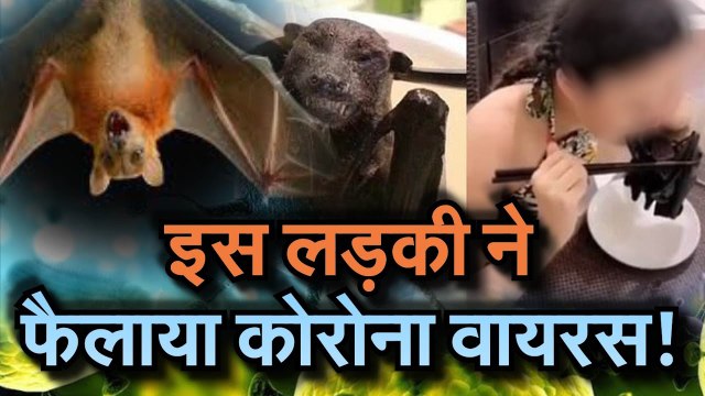 Corona Virus in india इस लड़की ने खाया चमगादड़ और फैल गया कोरोना वायरस, दुनिया में मचा हड़कंप